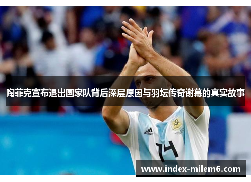 陶菲克宣布退出国家队背后深层原因与羽坛传奇谢幕的真实故事